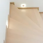شقة Bolyai
