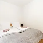 Bolyai شيوفوك