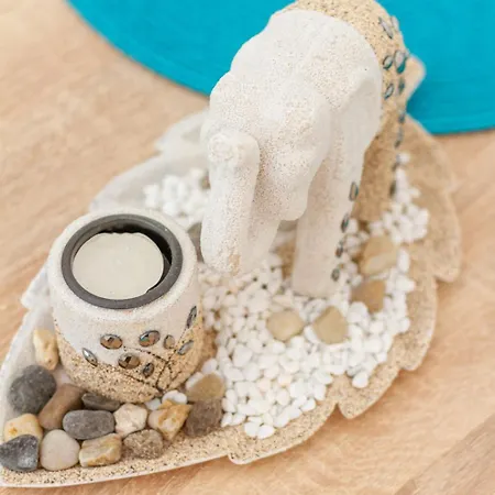 公寓 Bolyai W Ac Parking Terrace Ev Charger *