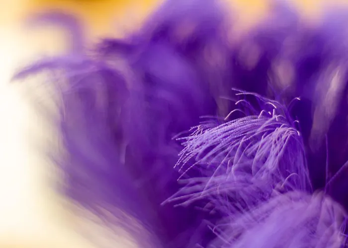 شقة Bolyai W Ac Parking Terrace Ev Charger شيوفوك