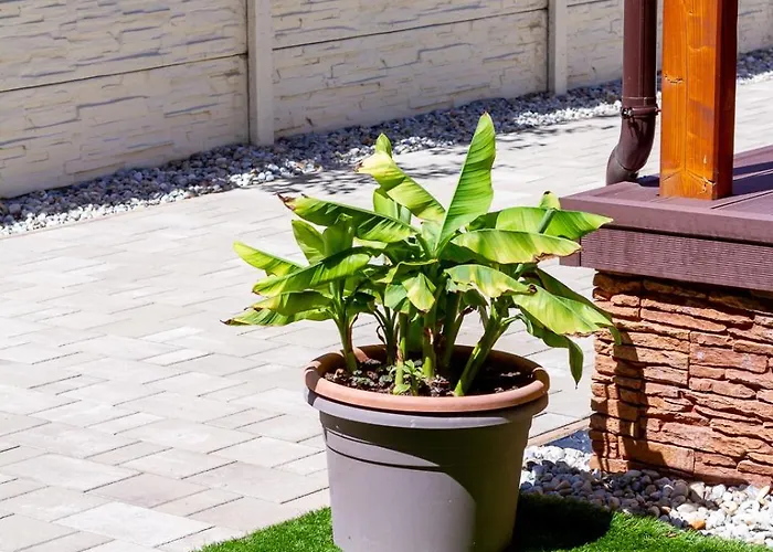 Bolyai W Ac Parking Terrace Ev Charger * شيوفوك